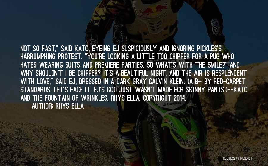 Best Pug Quotes By Rhys Ella