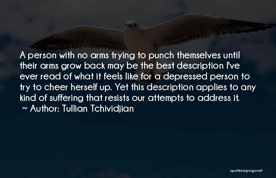 Best Punch Quotes By Tullian Tchividjian