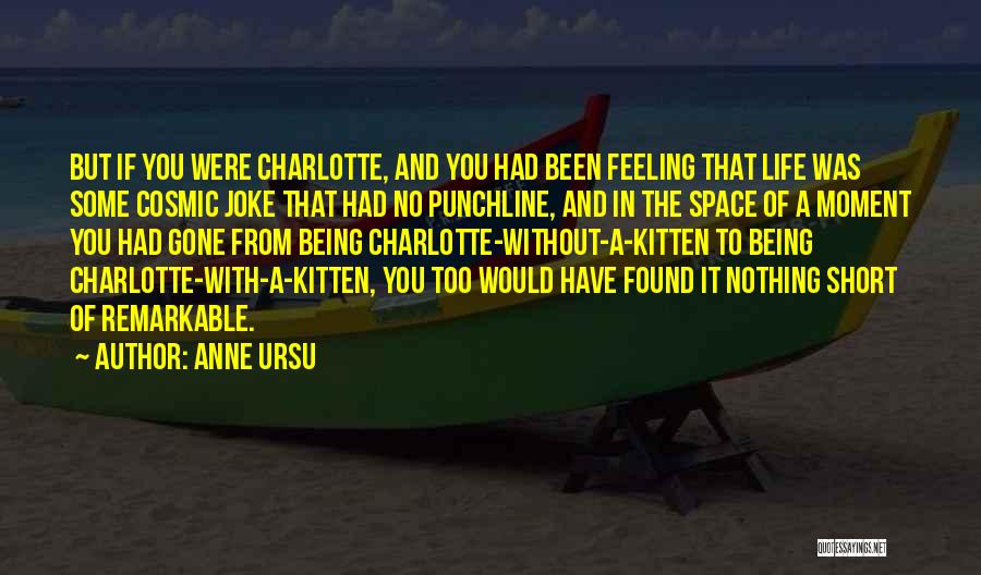 Best Punchline Quotes By Anne Ursu