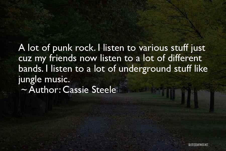 Best Punk Band Quotes By Cassie Steele