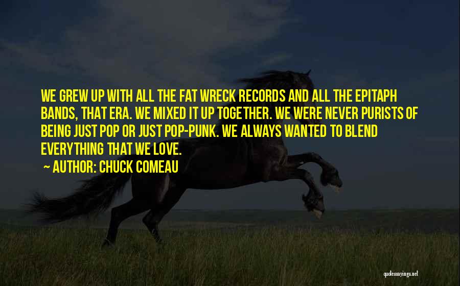 Best Punk Band Quotes By Chuck Comeau