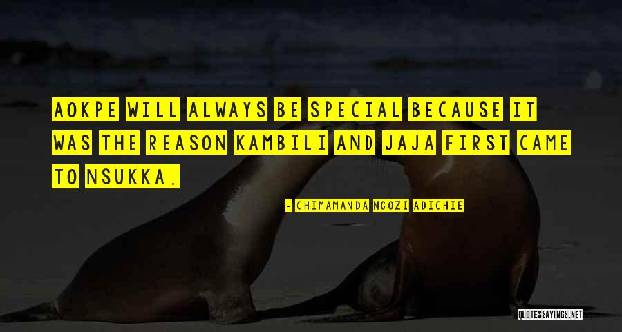 Best Purple Hibiscus Quotes By Chimamanda Ngozi Adichie