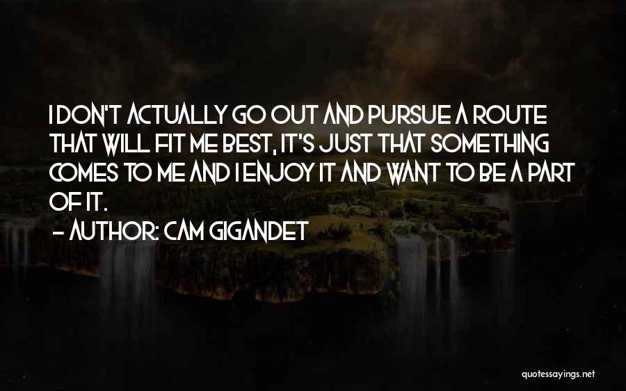 Best Pursue Quotes By Cam Gigandet