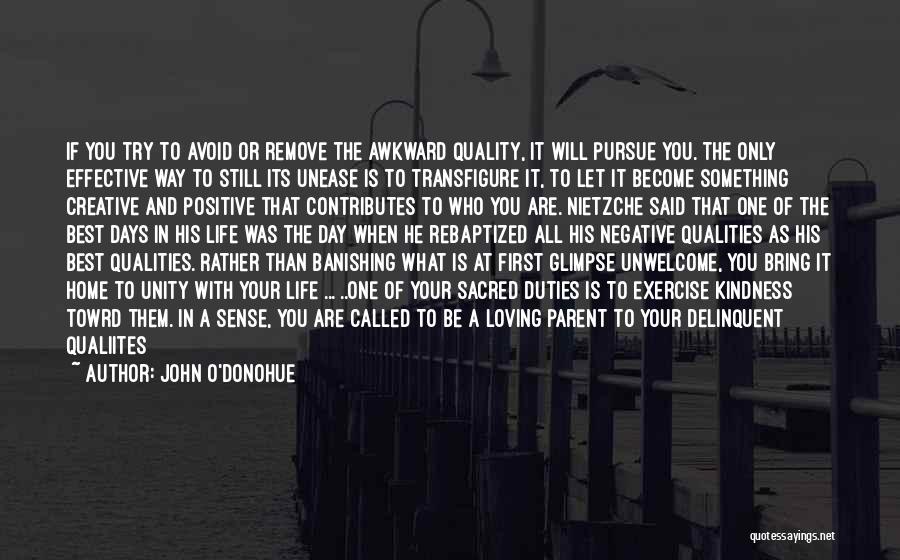 Best Pursue Quotes By John O'Donohue