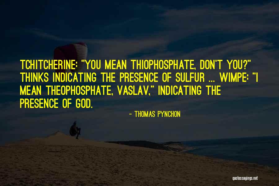 Best Pynchon Quotes By Thomas Pynchon