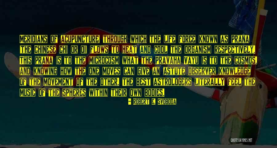 Best Qi Quotes By Robert E. Svoboda Best Qi Quotes By Robert E. Svoboda