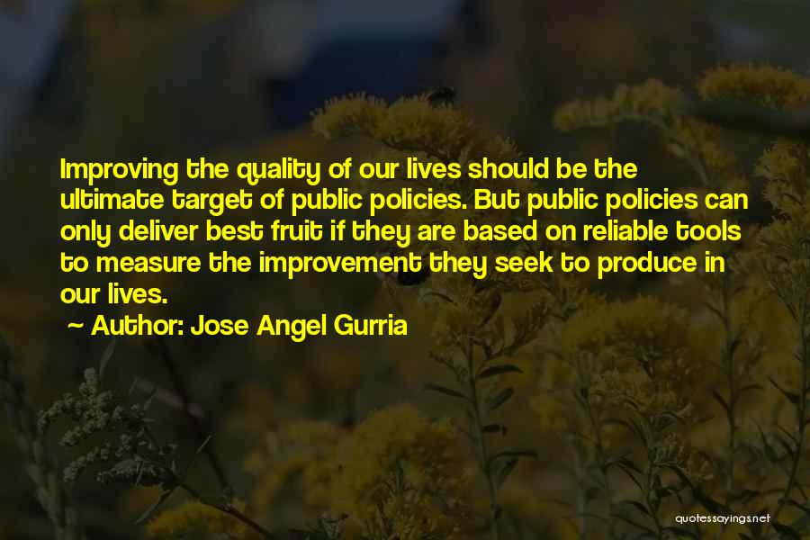 Best Quality Improvement Quotes By Jose Angel Gurria