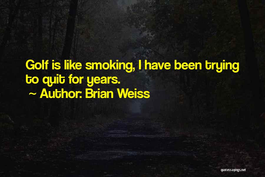 Best Quit Smoking Quotes By Brian Weiss