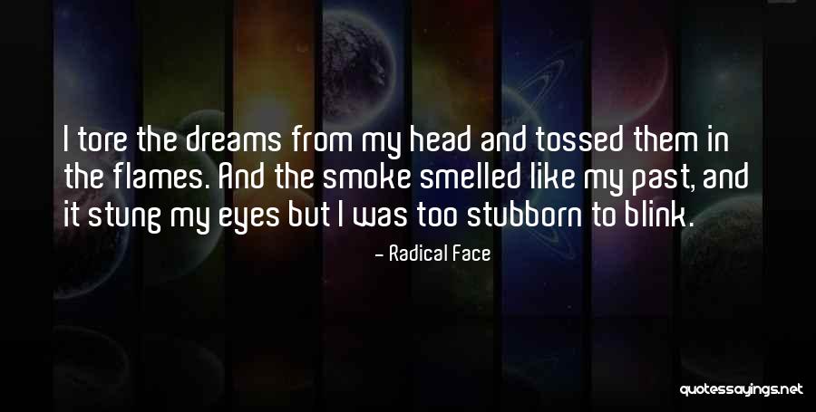 Best Radical Face Quotes By Radical Face