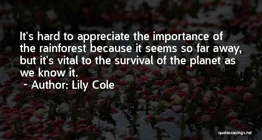 Best Rainforest Quotes By Lily Cole