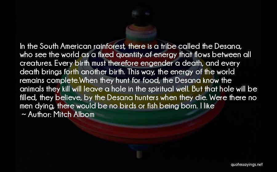 Best Rainforest Quotes By Mitch Albom Best Rainforest Quotes By Mitch Albom