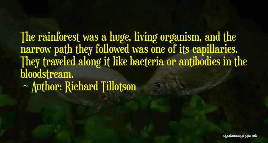 Best Rainforest Quotes By Richard Tillotson