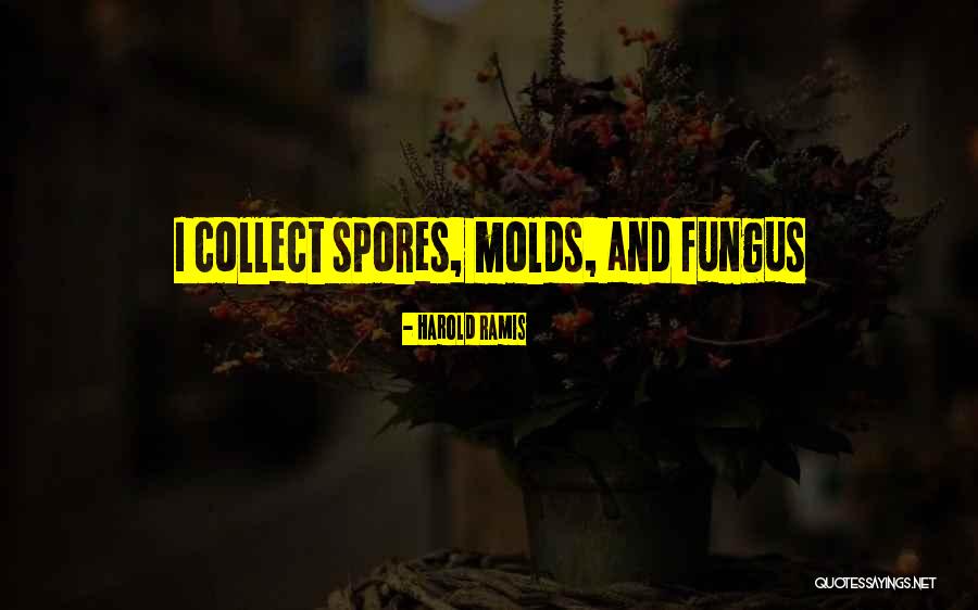 Best Ramis Quotes By Harold Ramis Best Ramis Quotes By Harold Ramis