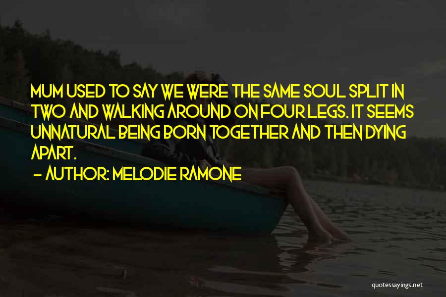 Best Ramone Quotes By Melodie Ramone