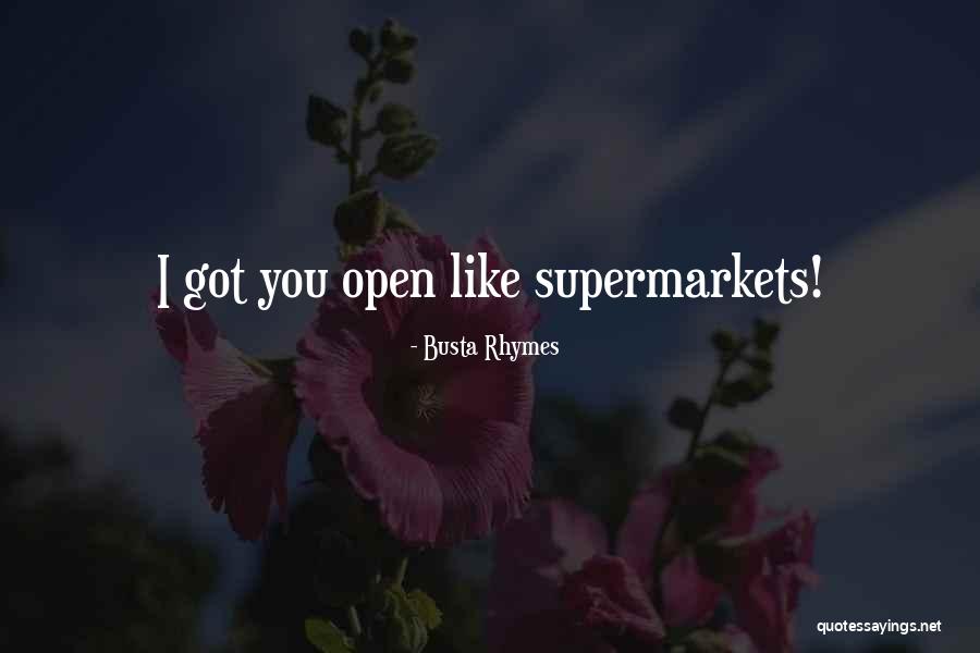Best Rap Rhymes Quotes By Busta Rhymes