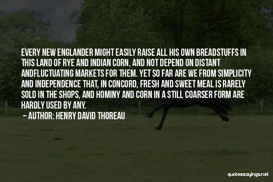 Best Rarely Used Quotes By Henry David Thoreau