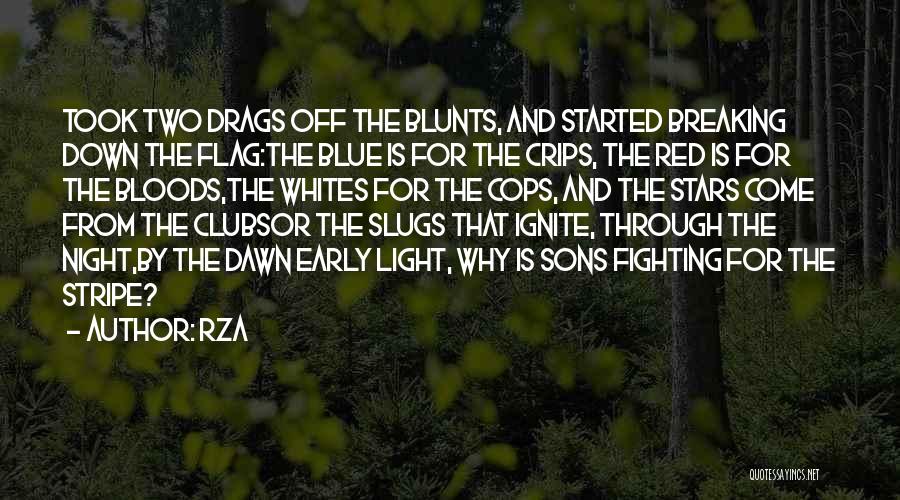 Best Red Vs Blue Quotes By RZA