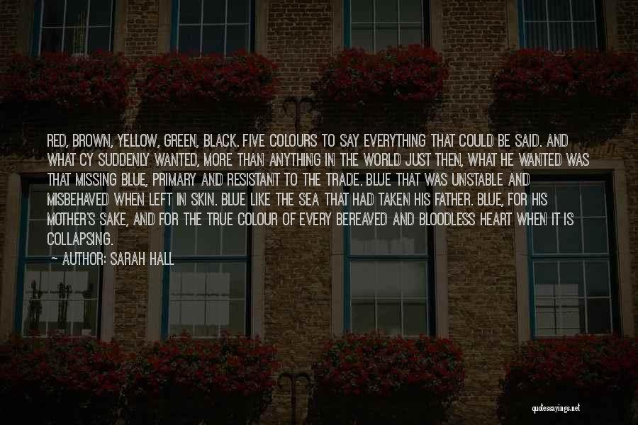 Best Red Vs Blue Quotes By Sarah Hall