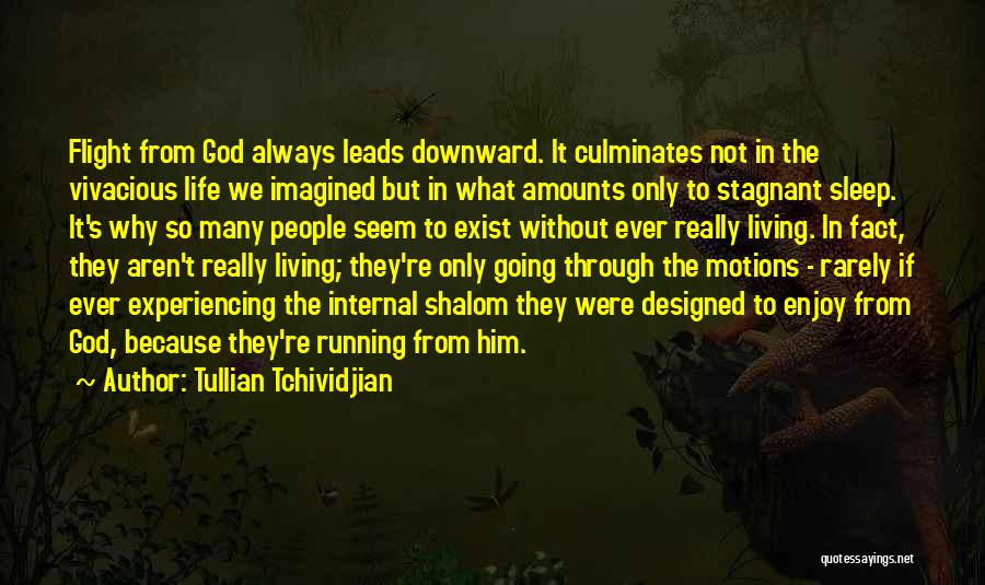 Best Religious Inspirational Quotes By Tullian Tchividjian