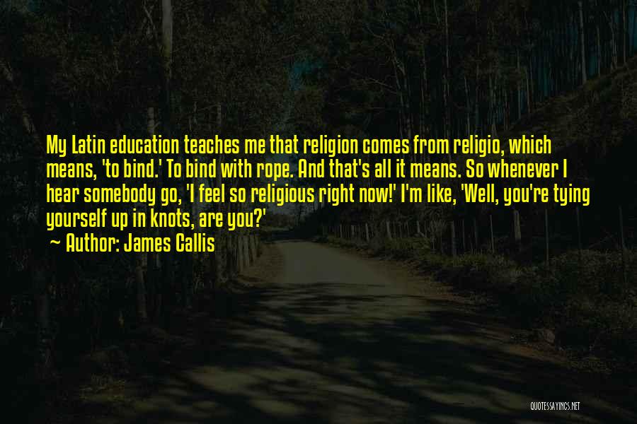 Best Religious Latin Quotes By James Callis