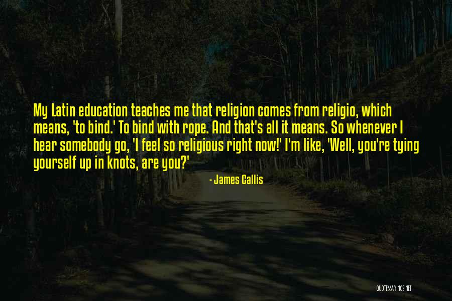 Best Religious Latin Quotes By James Callis