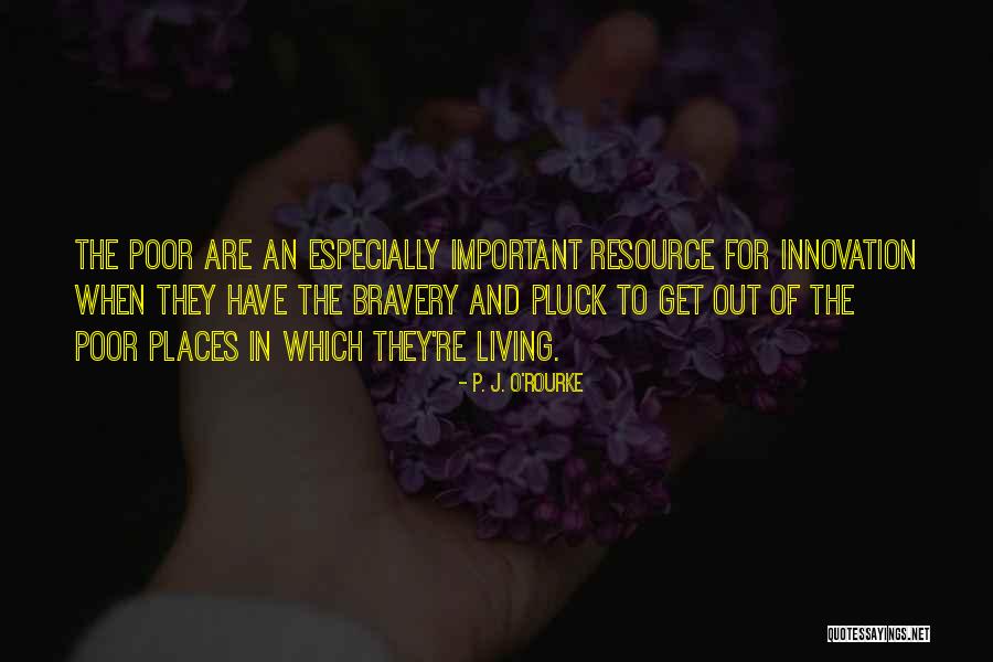 Best Resource Quotes By P. J. O'Rourke