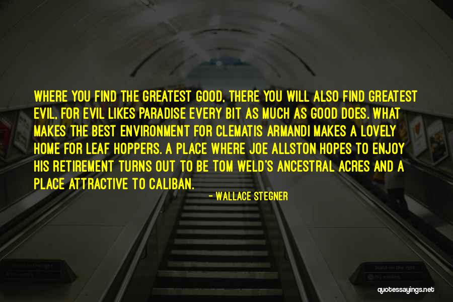 Best Retirement Quotes By Wallace Stegner Best Retirement Quotes By Wallace Stegner