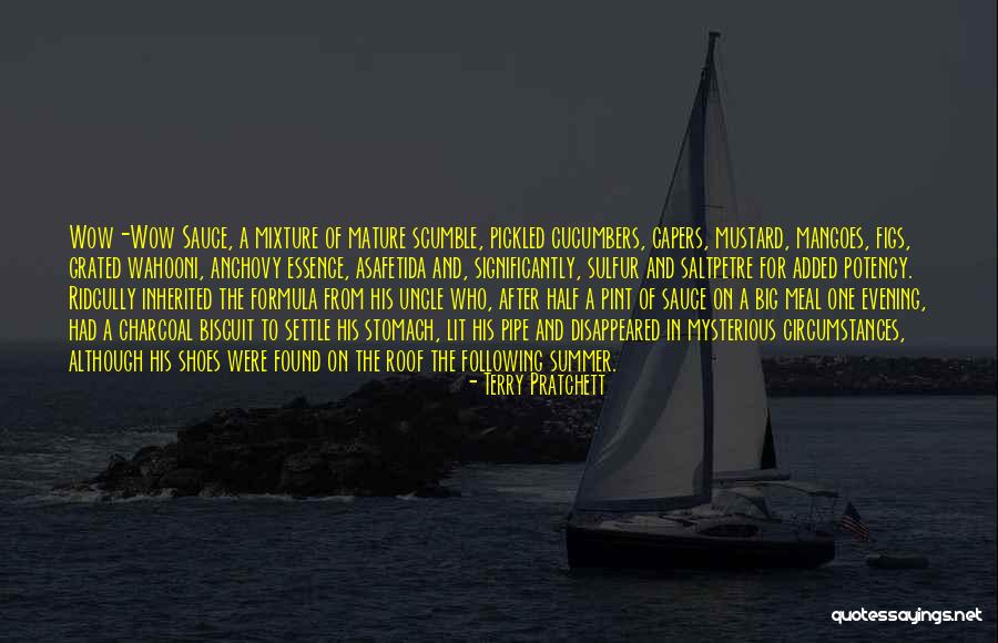 Best Ridcully Quotes By Terry Pratchett Best Ridcully Quotes By Terry Pratchett