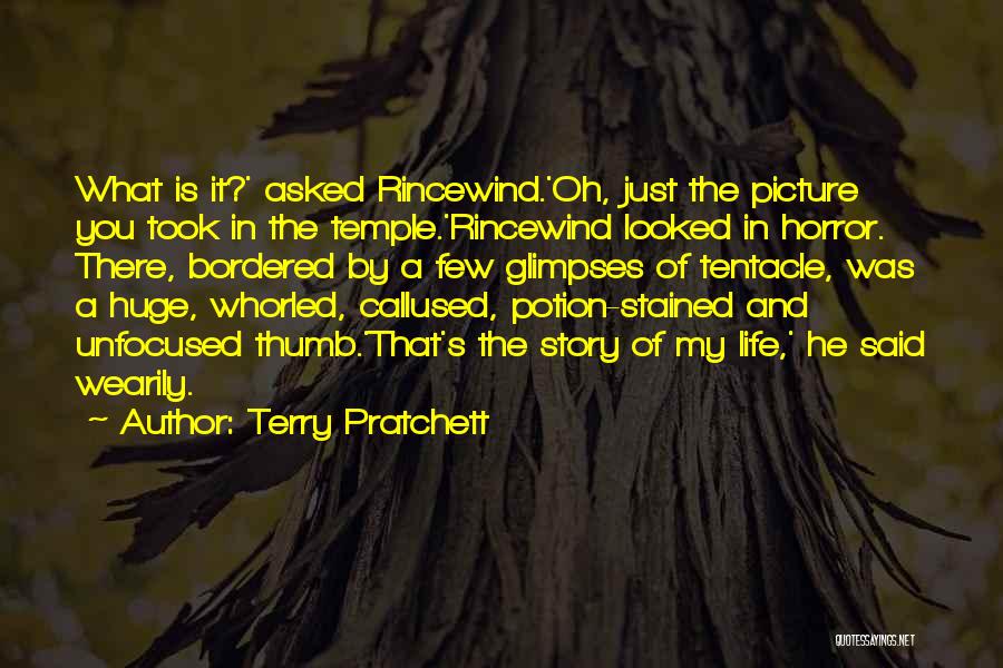 Best Rincewind Quotes By Terry Pratchett