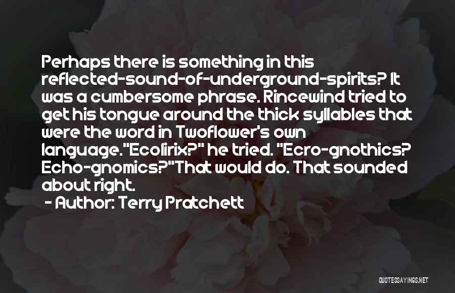Best Rincewind Quotes By Terry Pratchett
