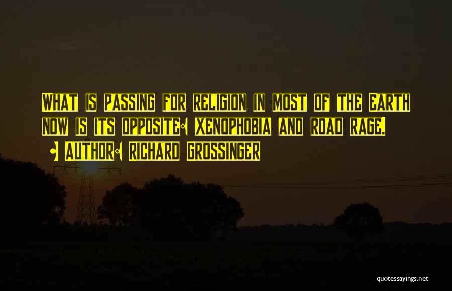 Best Road Rage Quotes By Richard Grossinger