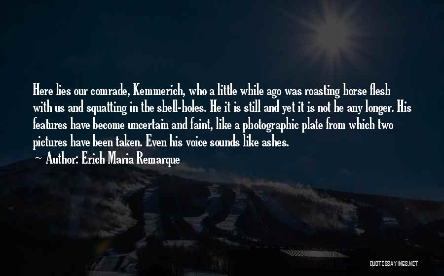 Best Roasting Quotes By Erich Maria Remarque