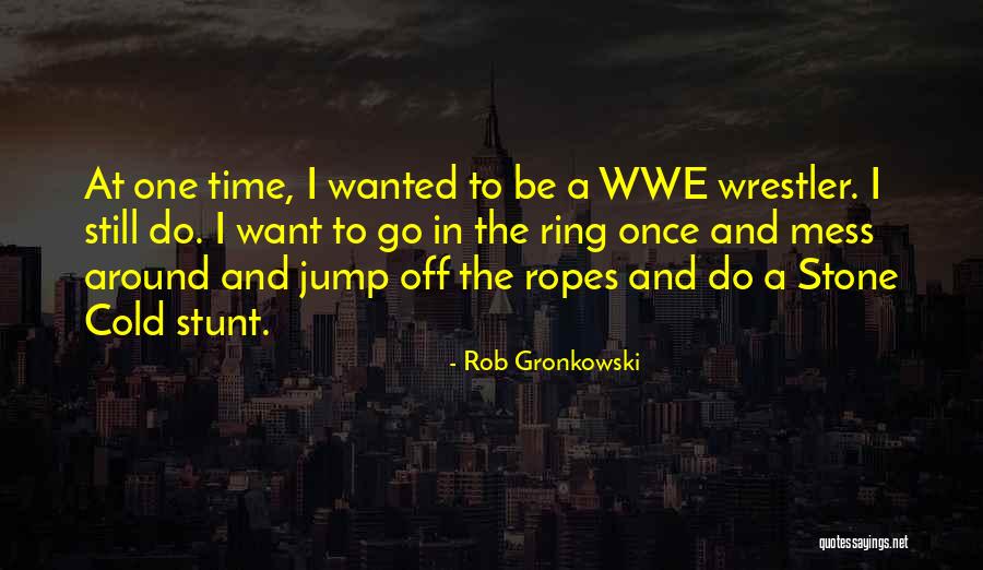 Best Rob Gronkowski Quotes By Rob Gronkowski