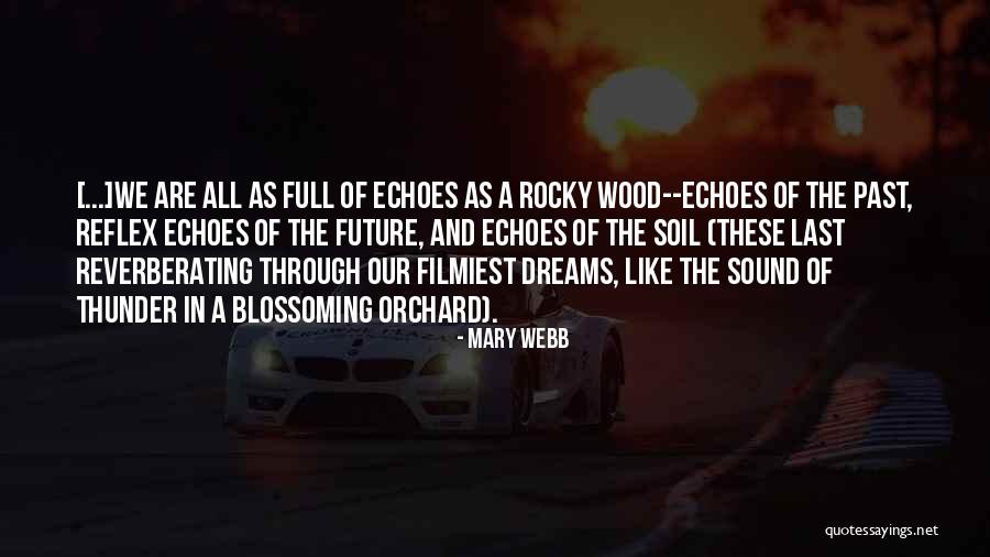 Best Rocky Inspirational Quotes By Mary Webb