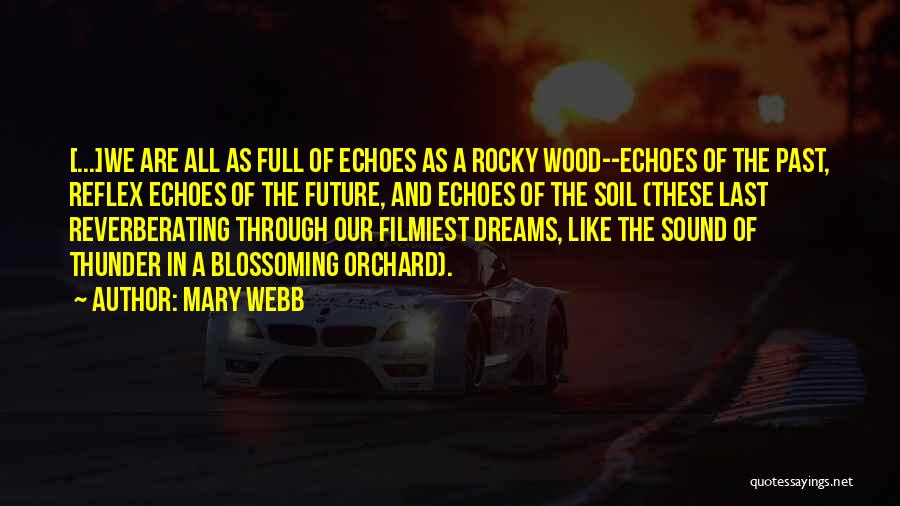 Best Rocky Quotes By Mary Webb