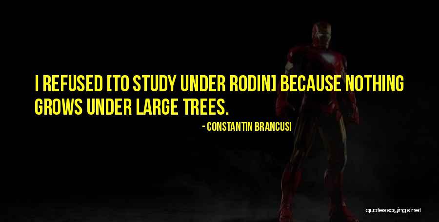 Best Rodin Quotes By Constantin Brancusi Best Rodin Quotes By Constantin Brancusi