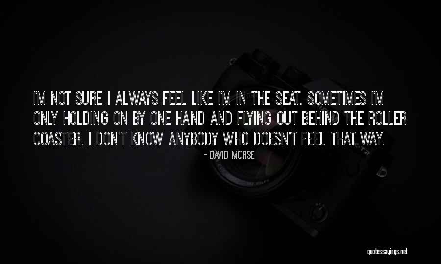 Best Roller Coaster Quotes By David Morse Best Roller Coaster Quotes By David Morse