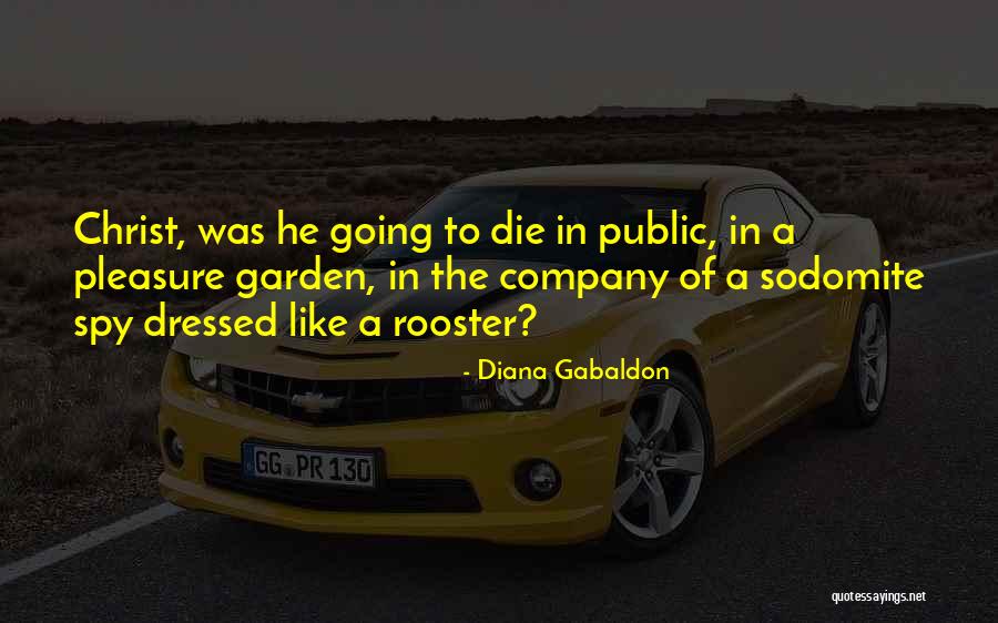 Best Rooster Quotes By Diana Gabaldon Best Rooster Quotes By Diana Gabaldon