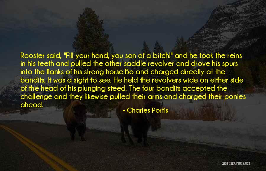 Best Rooster Teeth Quotes By Charles Portis