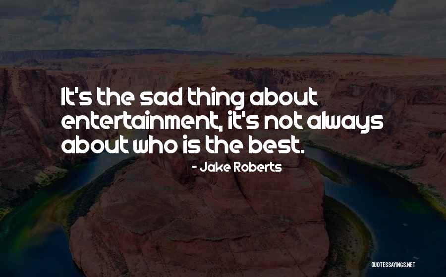 Best Sad Quotes By Jake Roberts