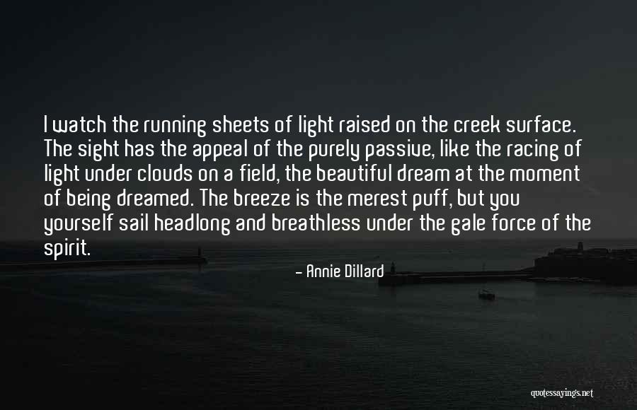 Best Sail Quotes By Annie Dillard Best Sail Quotes By Annie Dillard