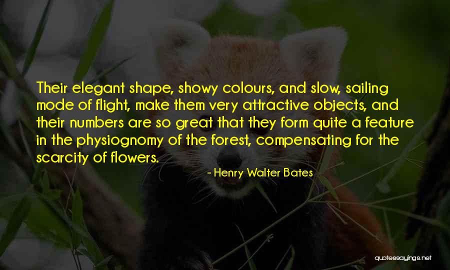 Best Sailing Quotes By Henry Walter Bates Best Sailing Quotes By Henry Walter Bates