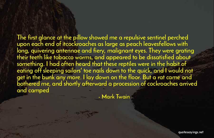 Best Sailing Quotes By Mark Twain Best Sailing Quotes By Mark Twain