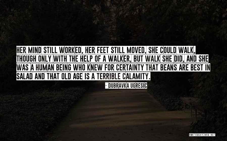 Best Salad Quotes By Dubravka Ugresic Best Salad Quotes By Dubravka Ugresic