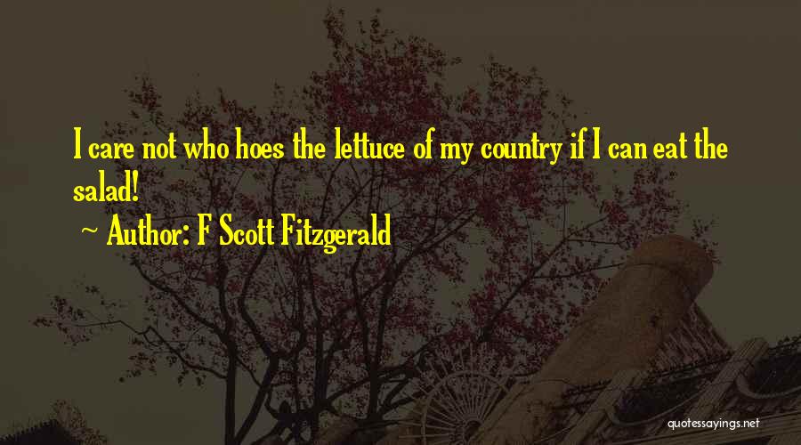 Best Salad Quotes By F Scott Fitzgerald
