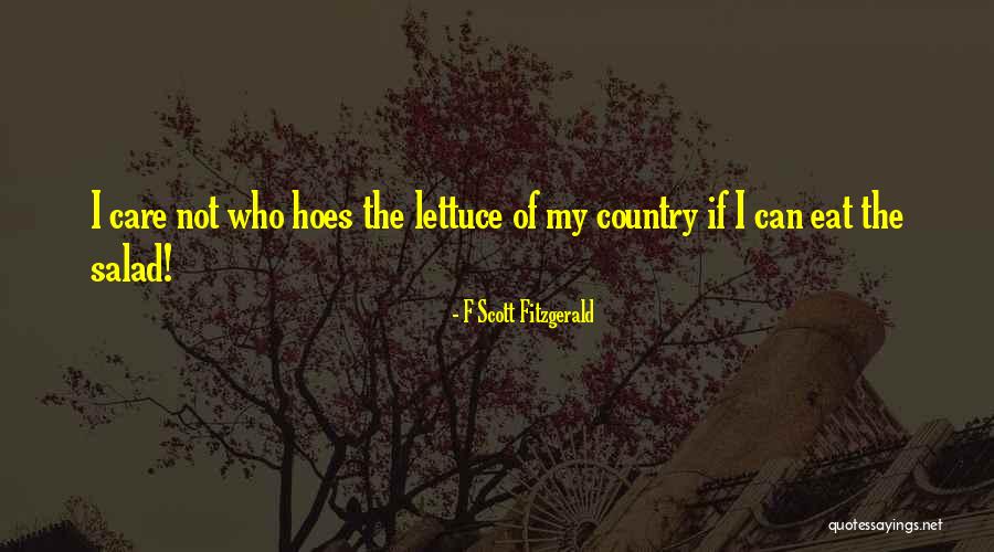 Best Salad Quotes By F Scott Fitzgerald Best Salad Quotes By F Scott Fitzgerald