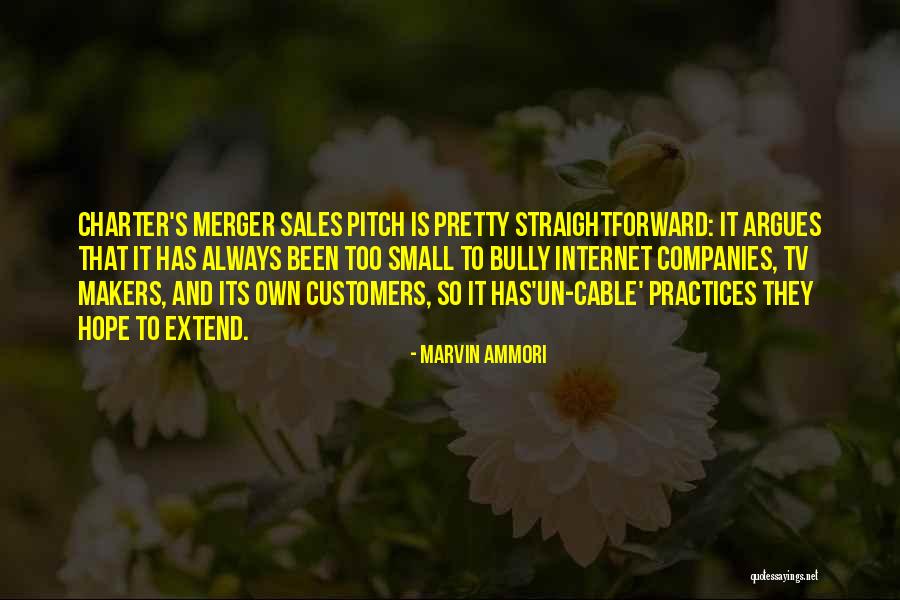 Best Sales Pitch Quotes By Marvin Ammori