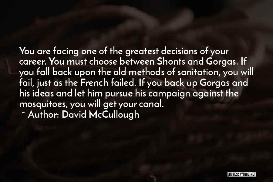 Best Sanitation Quotes By David McCullough