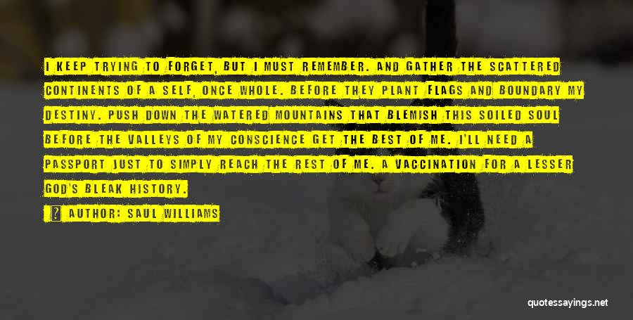 Best Saul Williams Quotes By Saul Williams