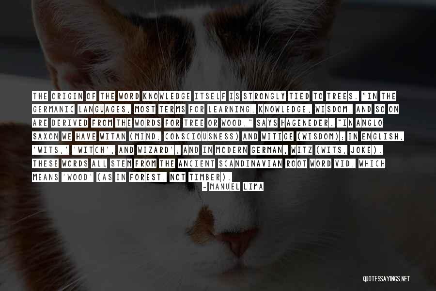 Best Scandinavian Quotes By Manuel Lima Best Scandinavian Quotes By Manuel Lima